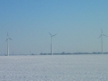 Windpark in Breitenlee