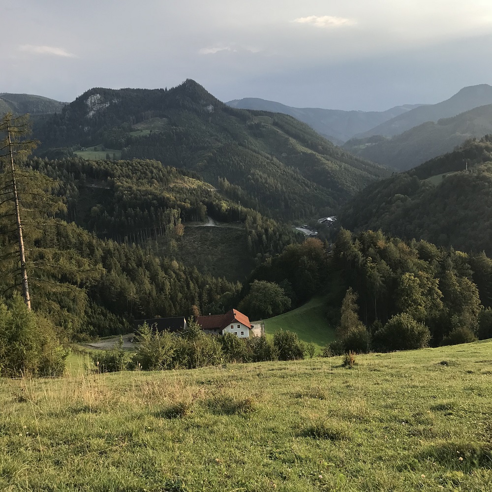 Abstieg nach Schwarzenbach/Pielach