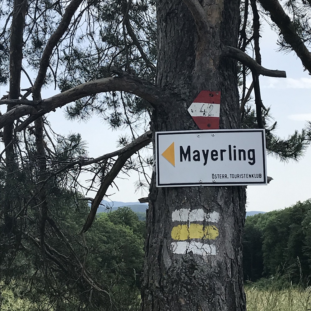 Weg nach Mayerling