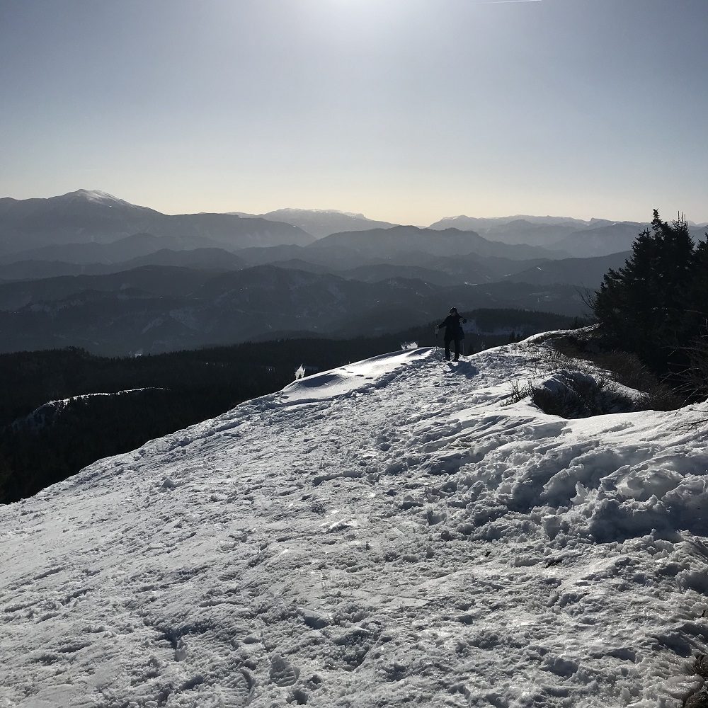 Panoramablick vom Gipfel