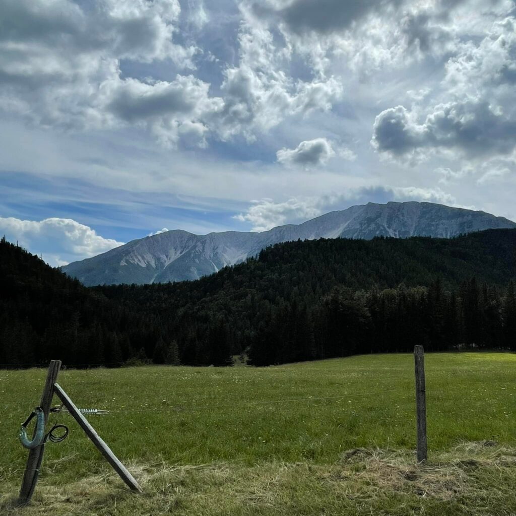Blick von der Mamauwiese zum Schneeberg