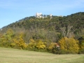 Meiereiwiese mit Blick auf die Burg Mödling